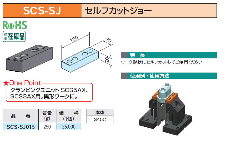 SCS-SJ ZtJbgW[